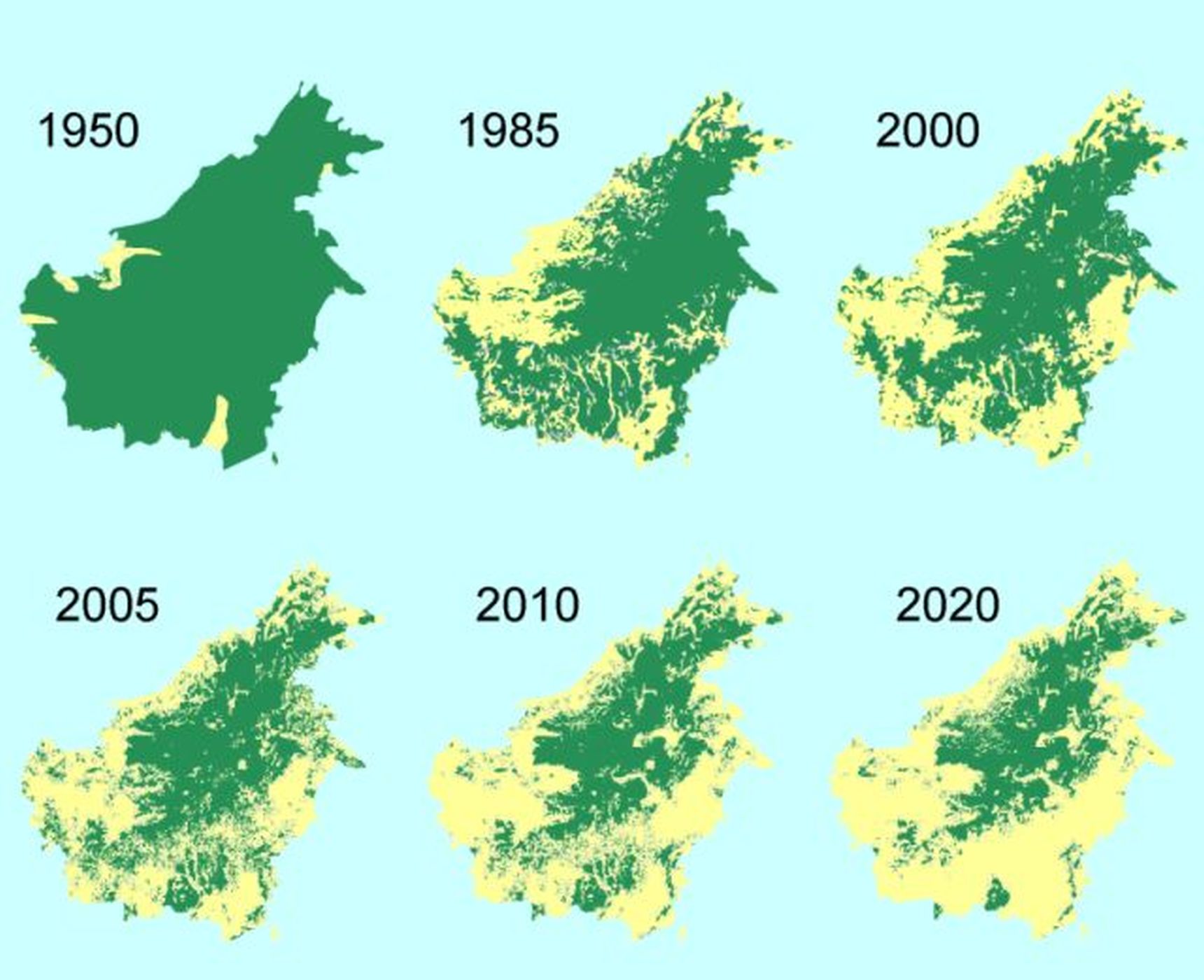 Zelen Mor Bornea Nebezpe N Boom Palmy Olejn 100 1 Zahrani N   Palolej Borneo Deforestation Map 